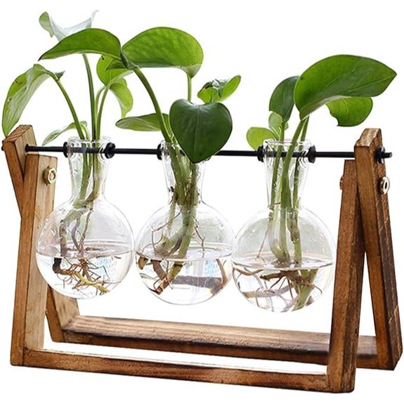 XXXFLOWER Plant Terrarium with Wooden Stand