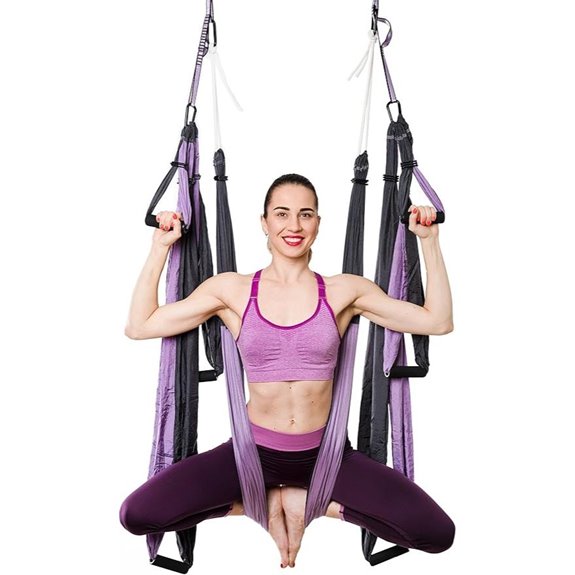 Aerial Yoga Swing Set with Inversion Hammock