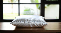10 Best Best Premium Silk Pillowcase in 2026