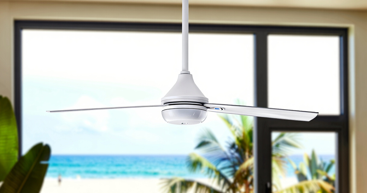 10 Best Best Premium Smart Ceiling Fan in 2026
