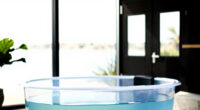 11 Best High End Cold Plunge Tub in 2026