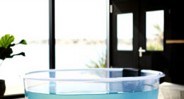 11 Best High End Cold Plunge Tub in 2026