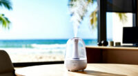 11 Best Luxury Humidifier in 2026