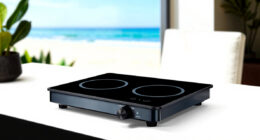 11 Best Luxury Induction Cooktop in 2026