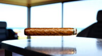 11 Best Premium Cigar Humidor in 2026