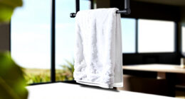 12 Best High End Towel Warmer in 2026