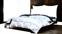 12 Best Luxury Down Comforter in 2026 — The Ultimate Guide