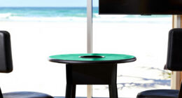 12 Best Luxury Poker Set in 2026