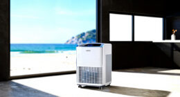 13 Best High End Dehumidifier in 2026