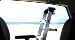 14 Best Best Premium Decorative Ladder in 2026