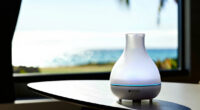 14 Best High End Aroma Diffuser in 2026