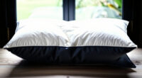 14 Best Premium Goose Down Pillow in 2026