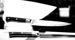 15 Best Best Premium Japanese Chef Knife in 2026