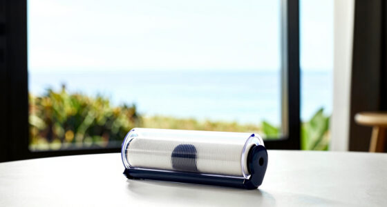 7 Best Best Luxury Lint Remover in 2026