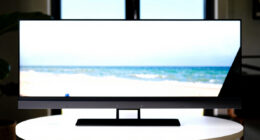 7 Best High End Display Cabinets in 2026
