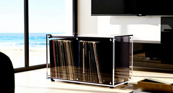 8 Best High End Record Storage Cabinets in 2026