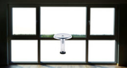 8 Best Premium Shower Stools in 2026