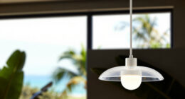 9 Best Premium Chandelier in 2026