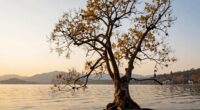 enduring luxury through longevity