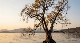 enduring luxury through longevity
