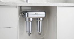 enhanced kitchen water quality