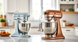 KitchenAid Professional 600 vs Classic: Full Comparison