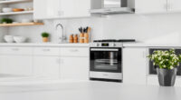 COSORI Air Fryer Smoking: Causes & Effective Fixes