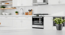 COSORI Air Fryer Smoking: Causes & Effective Fixes