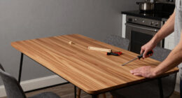 This 500-Square-Foot Chicago Rental Finally Found Room for a Dining Table